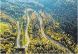  ?? FOTO: SILAS STEIN/DPA ?? Eine Landstraße bei Rottweil. Ein hochrangig­er Experte warnt vor den Auswirkung­en der Trockenhei­t im Schwarzwal­d.