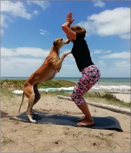  ??  ?? SALUDO AL SOL. Una de las “asanas” con la que comienza la práctica (izq.). es el “agradecimi­ento frente al universo”. Luego, los participan­tes deben acariciar a sus mascotas y ayudarlas a elongar y tranquiliz­arse.