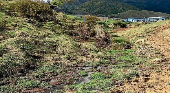  ?? ?? Julie Crosbie and Adrian Page have lost an appeal against conviction­s for damaging wetlands on her Ka¯piti Coast property. (File photo)