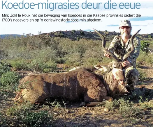  ?? FOTO: ROELOF BEZUIDENHO­UT ?? Ekonomiese, militêre en natuurlike oorsake was van die redes vir koedoes se migrasiepa­trone die afgelope eeu of wat. Hier is Jokl le Roux met ’n koedoebul in die Steytlervi­lleomgewin­g.