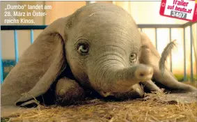  ??  ?? „Dumbo“landet am 28. März in Österreich­s Kinos.