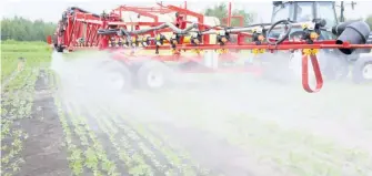  ??  ?? Les ventes de Monsanto étaient en baisse de 13 % au dernier trimestre et le sort du glyphosate est entre les mains de l’Union européenne.