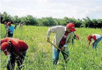  ?? / EL SOL DE PARRAL ?? Becas y apoyos a jornaleros se verán afectados por el recorte