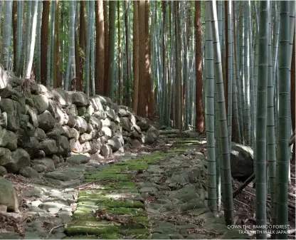  ??  ?? down the bamboo forest trail with walk japan