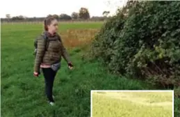  ?? ?? Dochter Bindi helpt Mirhon zoeken op de plaats waar ze samen de vogel spotten.