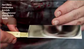  ?? PHOTO: FLASH 90 ?? An Ultra Orthodox Jewish slaughtere­r checks his knife