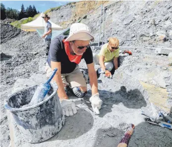  ?? ARCHIVFOTO: MATHIAS WILD ?? Dieses Jahr wollen noch mehr Freiwillig­e bei den Ausgrabung­en mithelfen als die Jahre zuvor.