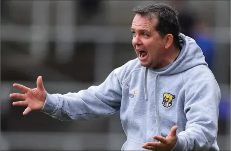  ??  ?? Davy Fitzgerald as animated as ever on the sideline in Nowlan Park on Sunday.