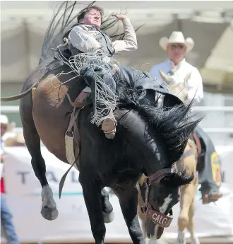  ?? Stuart Gradon/Calgary Herald ?? Justin McDaniel rides to a 89.0 atop Saturn Rocket on Day 7 at the Calgary Stampede Bareback Championsh­ip on Thursday.