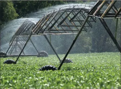  ?? (AP) ?? A soybean field near Plumervill­e is irrigated in August 2012.