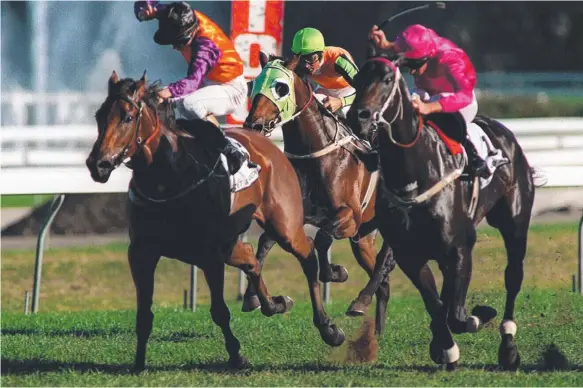  ??  ?? Rancho Montoya’s dam Isolda (left) beats the champion Octagonal in the Champagne Stakes at Randwick.