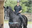 ??  ?? Police horse Percy with rider, PC Joanne Watson.