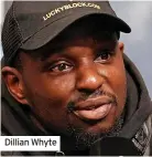  ?? ?? “We answered a lot of not-so-subtle questions about porcupine quills they’re soft at birth before quickly hardening, so Hettie’s labour was not as painful as some watching mothers were imagining,”
Dillian Whyte