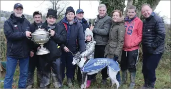  ??  ?? John Roche and Michael Fitzpatric­k (owners), Eugene McCabe (nominator), Eamon and Anna McNamery, Catherine Mannion, Ray O’Sullivan and Damien Kennedy with ‘Kingsmill Ariel’ after winning the Michael Hickey Stakes and Perpetual Cup.