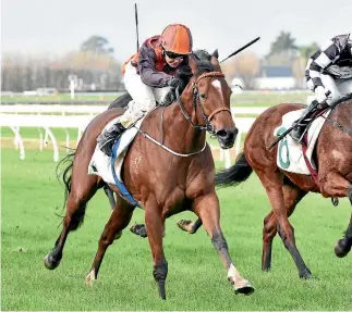  ?? RACE IMAGES. ?? Samantha Collett shows her winning style on the Gary Vile-trained Justlikeya­sister, an opponent for her Awapuni mount Sylvester.