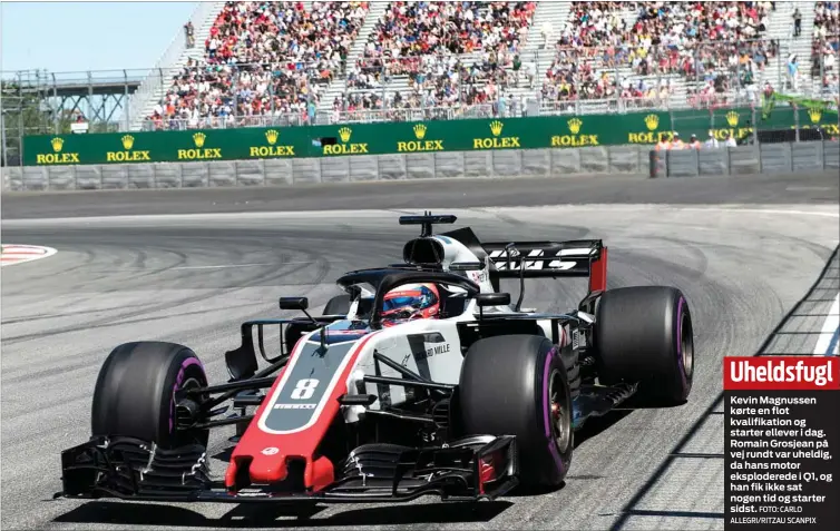  ?? FOTO: CARLO ALLEGRI/RITZAU SCANPIX ?? Uheldsfugl
Kevin Magnussen kørte en flot kvalifikat­ion og starter ellever i dag. Romain Grosjean på vej rundt var uheldig, da hans motor eksplodere­de i Q1, og han fik ikke sat nogen tid og starter sidst.