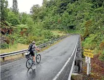  ?? SUPPLIED ?? The Tangarakau Gorge section on SH43 requires sealing.