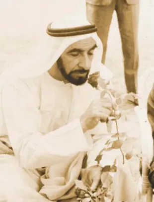  ?? PHOTOS: WAM ?? Sheikh Zayed had a true vision of environmen­tal care.