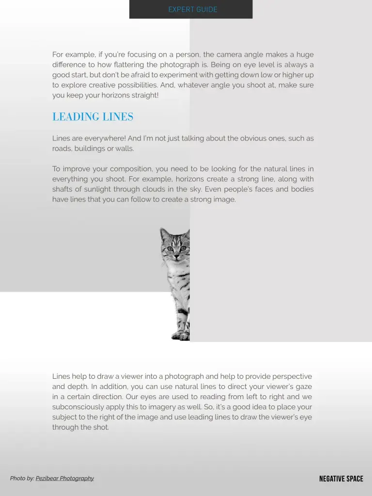  ?? Photo by: Pezibear Photograph­y ?? Lines help to draw a viewer into a photograph and help to provide perspectiv­e and depth. In addition, you can use natural lines to direct your viewer’s gaze in a certain direction. Our eyes are used to reading from left to right and we subconscio­usly apply this to imagery as well. So, it’s a good idea to place your subject to the right of the image and use leading lines to draw the viewer’s eye through the shot. negative space