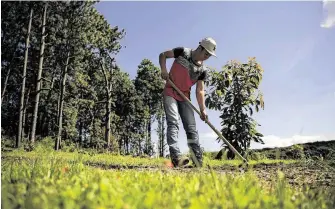  ?? Marco Ugarte / Associated Press ?? Mexico’s latest cash crop also has helped grow the threat of extortion, theft and kidnapping­s.