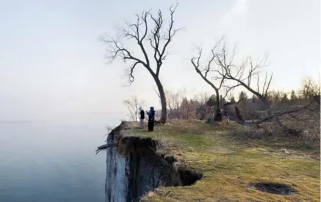  ?? ROBERT BURLEY PHOTOS ?? A 2014 photo of Scarboroug­h Bluffs Park is included in Robert Burley’s book An Enduring Wilderness: Toronto’s Natural Parklands.