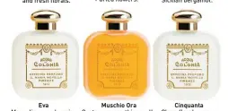  ??  ?? Muschio Ora Cinquanta Eva Customers say this smells like the first Chanel No. 5. Clean floral + green tea + amber. Masculine woody-spicy + black pepper + lemon.