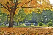  ?? STAFF PHOTO BY ROBIN RUDD ?? Leaves pile up at the historic Forest Hills Cemetery in 2019.