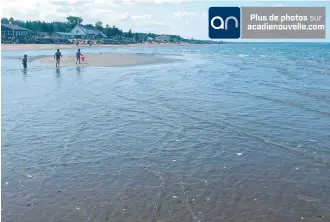  ??  ?? La plage Golden Sands de Bathurst, à marée basse. - Acadie Nouvelle: Allison Roy