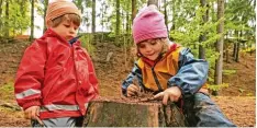  ?? Symbolfoto: Martin Schutt, dpa ?? Spielen und Toben in der freien Natur: Auch die Stadt Vöhringen macht sich über die Einrichtun­g eines Waldkinder­gartens Gedanken.