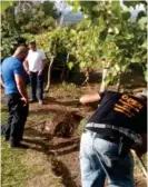  ??  ?? Una de las pistas halladas fue la cédula de la joven, cerca de un cafetal.