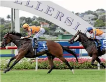  ?? PHOTO: TRISH DUNELL ?? Te Akau stablemate­s Sword of Osman (left) and Avantage will resume their rivalry on March 31.