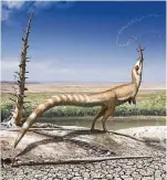  ?? FOTO: ROBERT NICHOLLS/DPA ?? Dinosaurie­r der Art „Sinosaurop­teryx“hatten eine ähnliche Färbung um die Augen wie Waschbären.