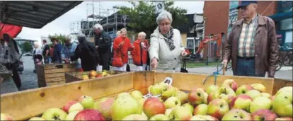  ?? FOTO: REUTERS / NTB SCANPIX ?? ER DET SUNT? Flittig bruk av sprøytemid­ler, noen av dem omstridte, gjør at epler som plukkes i disse dager, holder seg friske på lager helt fra til mai neste år.