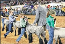  ?? [JIM BECKEL/THE OKLAHOMAN] ?? Cade Karcher Charmasson, 9, of Hennessey, has a tight hold on Ace, his natural wether lamb, as Todd Wise, a judge, puts his hand on the animal's back. More than 7,000 exhibitors have gathered at State Fair Park to show their livestock this year.