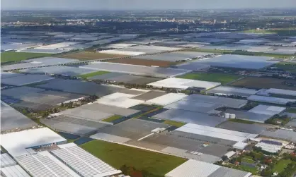  ?? Photograph: Panther Media GmbH/Alamy ?? An aerial view of greenhouse farms. Much of the blame for the poor condition of Europe’s natural environmen­t lies with intensive farming.