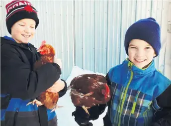  ??  ?? Émile et Victor Landry, de la Ferme Rustique à Sainte-Croix, ont décidé de célébrer la Semaine mondiale de l’entreprene­uriat en se lançant en agricultur­e. Ils ont livré leur première douzaine d’oeufs la semaine dernière.