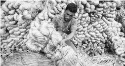  ??  ?? The requiremen­t of jute bags in the Kharif and Rabi seasons is likely to be around 916,000 tonnes, according to the textiles ministry