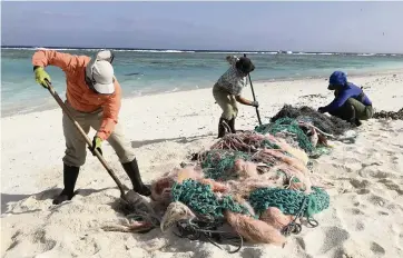  ?? MATT SAUNTER Hawaii Department of Land and Natural Resources via AP ?? From left, Matt Butschek II, Charlie Thomas and Naomi Worcester clean up fishing nets at a field camp on Kure Atoll in the Northweste­rn Hawaiian Islands.