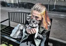  ?? RICHARD VOGEL THE ASSOCIATED PRESS ?? Rachel Niebur kisses her dog, Petey, at a small dog park in the Venice section of Los Angeles. “She needs me. She gives me my focus,” Niebur says of her chihuahua cross.