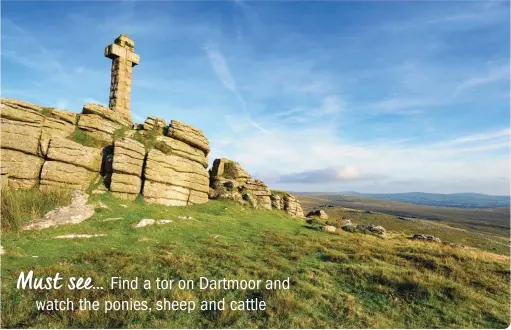  ?? ?? ABOVE A stone cross at the top of Brat Tor*
BELOW The granite stone commemorat­ing the Viking raid on the Saxon settlement