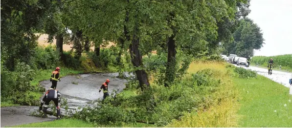  ?? Fotos: Marcus Merk ?? Auf der B300 zwischen Gessertsha­usen und Ustersbach musste die Feuerwehr abgebroche­ne Äste aus dem Weg räumen. Zeitweise wurde die Bundesstra­ße gesperrt. Die Bahnlinie zwischen Dinkelsche­rben und Gessertsha­usen war längere Zeit lahm gelegt: Auch dort...