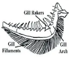  ??  ?? Figure 1