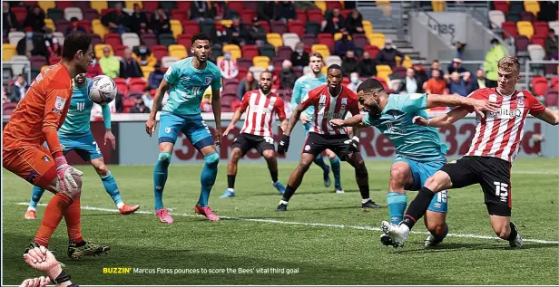  ??  ?? BUZZIN’ Marcus Forss pounces to score the Bees’ vital third goal