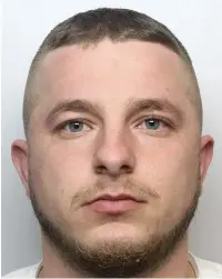  ??  ?? Tahir Roci was jailed for 16 months at Swansea Crown Court after being found with 215 cannabis plants at an address in Caswell Street, Llanelli.