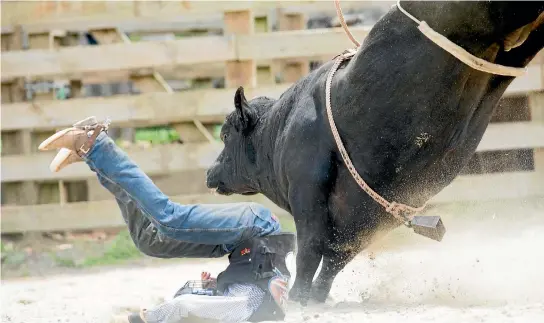  ?? TOM LEE/STUFF ?? Darryl McPherson loses his footing during the Omahu Valley Bull Ride in Waikato in November 2017.