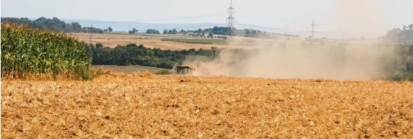  ?? Foto: Anke Bingel, dpa ?? Die anhaltende Dürre und die hohen Temperatur­en machen Deutschlan­ds Bauern derzeit zu schaffen. Geht es nach Klimaforsc­her Latif, ist das Ende der Fahnenstan­ge noch längst nicht erreicht.