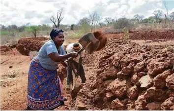  ??  ?? Women work on the foundation for a rock catchment system to harvest rainwater in Makueni County, Kenya. So far, ten rock catchment units have been built in as many Makueni villages, feeding rainfall runoff from the rocks to a total of 26 concrete tanks.