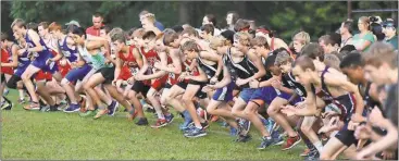  ?? Jeremy Stewart / Rome News-Tribune ?? Runners take off from the starting line in the boys’ varsity race of the 25th annual Ridge Ferry Invitation­al on Saturday at Ridge Ferry Park. The meet, hosted by Rome High, expanded to 34 teams and over 800 participan­ts in six different races.