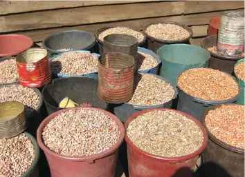  ??  ?? There is a recognitio­n that seed has multi-purpose use in the informal seed market