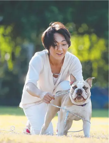  ?? Picture: ANNA ROGERS ?? WALK IN THE PARK: Junko Baensch and her Australian bulldog Taffy play near the Esplanade yesterday.